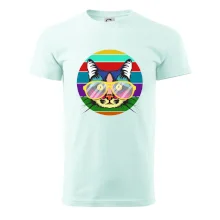 Kočka při barevném západu