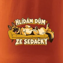Hlídám dům ze sedačky - vlčák