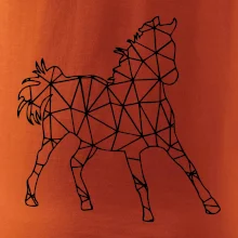 Geometrie - kůň jednobarevná