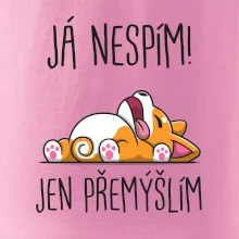 Já nespím, jen přemýšlím