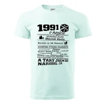 1991 v kostce