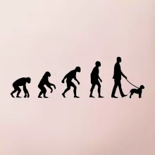 Lagotto romagnolo Evoluce muž / žena