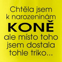 Chtěla jsem dostat k narozeninám koně