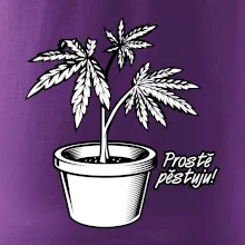 Konopi prostě pěstuju