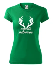 Harry - Expecto patronum