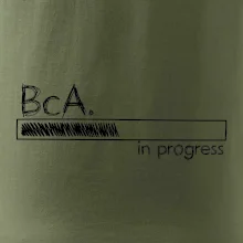 In progress  titul BcA. bakalář / bakalářka umění