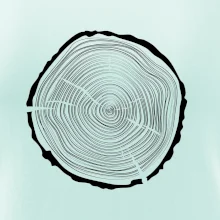 Letokruhy 45 bez věku