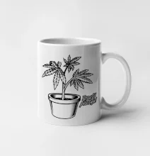 Konopi prostě pěstuju