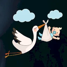 Čáp čekáme miminko - kluk