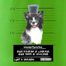 Lump a darebák border kolie