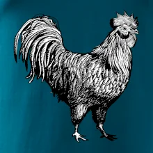 Kohout kreslený černobílý