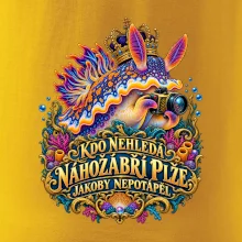 Král makra nahožábří plž s fotoaparátem