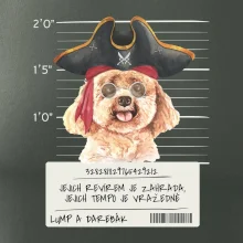 Lump a darebák pudl