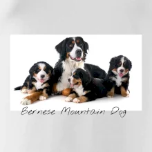 Bernese mountain dog celá rodina