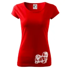 Shih-tzu - chlupatý