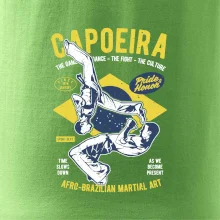Capoeira  Afro-brazil art