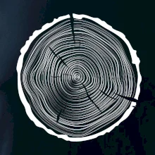 Letokruhy 50 bez věku