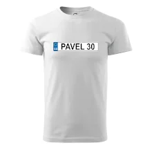 SPZ Pavel 30