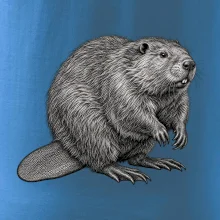 Zvířata Šumavy – Bobr evropský