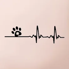 Veterinář EKG