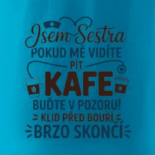 Jsem sestra  - Klid před bouří