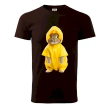 Králík v pláštěnce