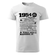 1954 v kostce