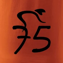 Cyklista slaví pětasedmdesátku (75)