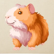 Morče - kreslené, bílo oranžové