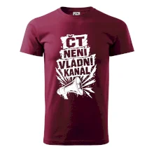 ČT není vládní kánál