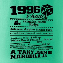 1996 v kostce