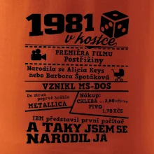 1981 v kostce