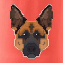 Německý ovčák - Rozkostičkovaný