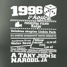 1996 v kostce