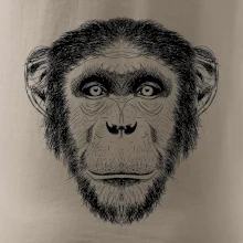 Opice kresba