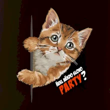 Řekl někdo slovo party