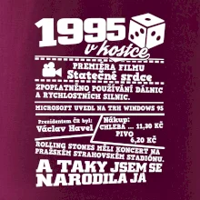 1995 v kostce