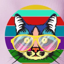 Kočka při barevném západu