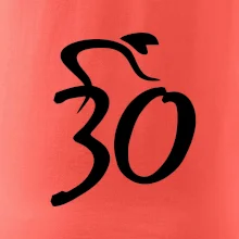 Cyklista slaví třicítku (30)