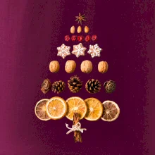 Vánoční stromeček ze sušených plodů