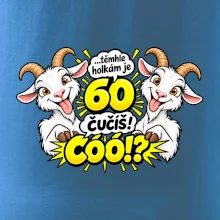 Těmhle holkám je 60, čučíš co?