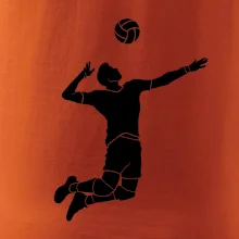 Volejbal nápřah muž