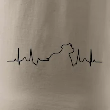 Stafordšírsky bulteriér EKG