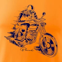 Motorkář blesk Motorkář blesk