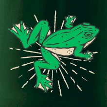 Žába zelená kreslená