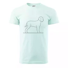 Lagotto romagnolo stojící