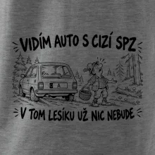Vidím auto s cizí spz