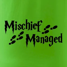 Harry - Mischief Managed