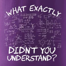 What exactly didnt you understand - physics