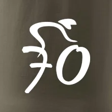 Cyklista slaví sedmdesátku (70)
